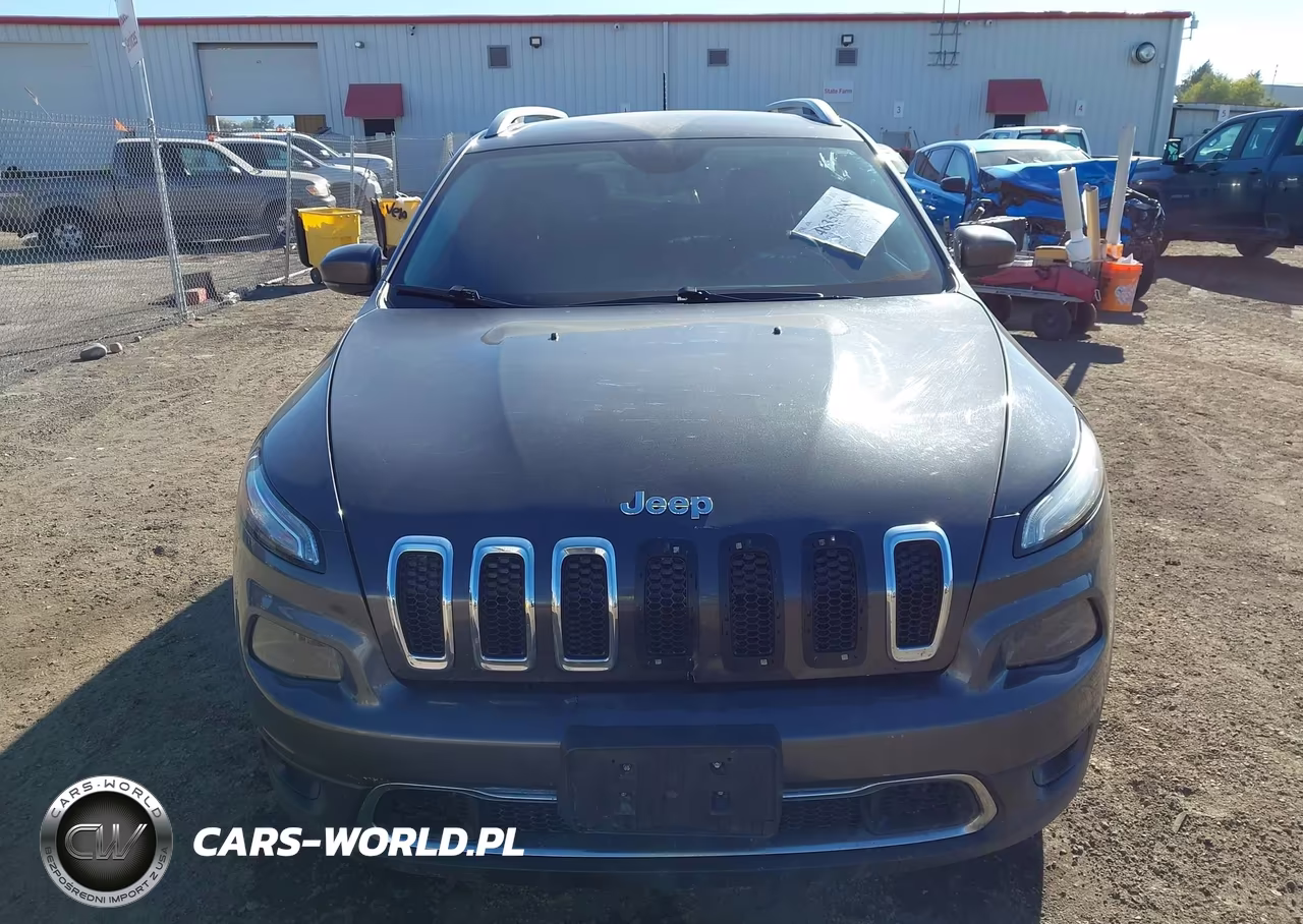 2016 Jeep Cherokee Limited VIN:1C4PJMDB4GW162431 - 12