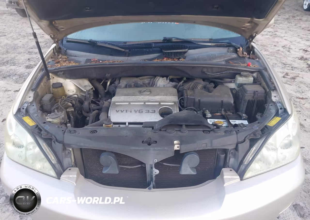 2005 Lexus Rx 330 VIN:JTJGA31U350046828 - 10