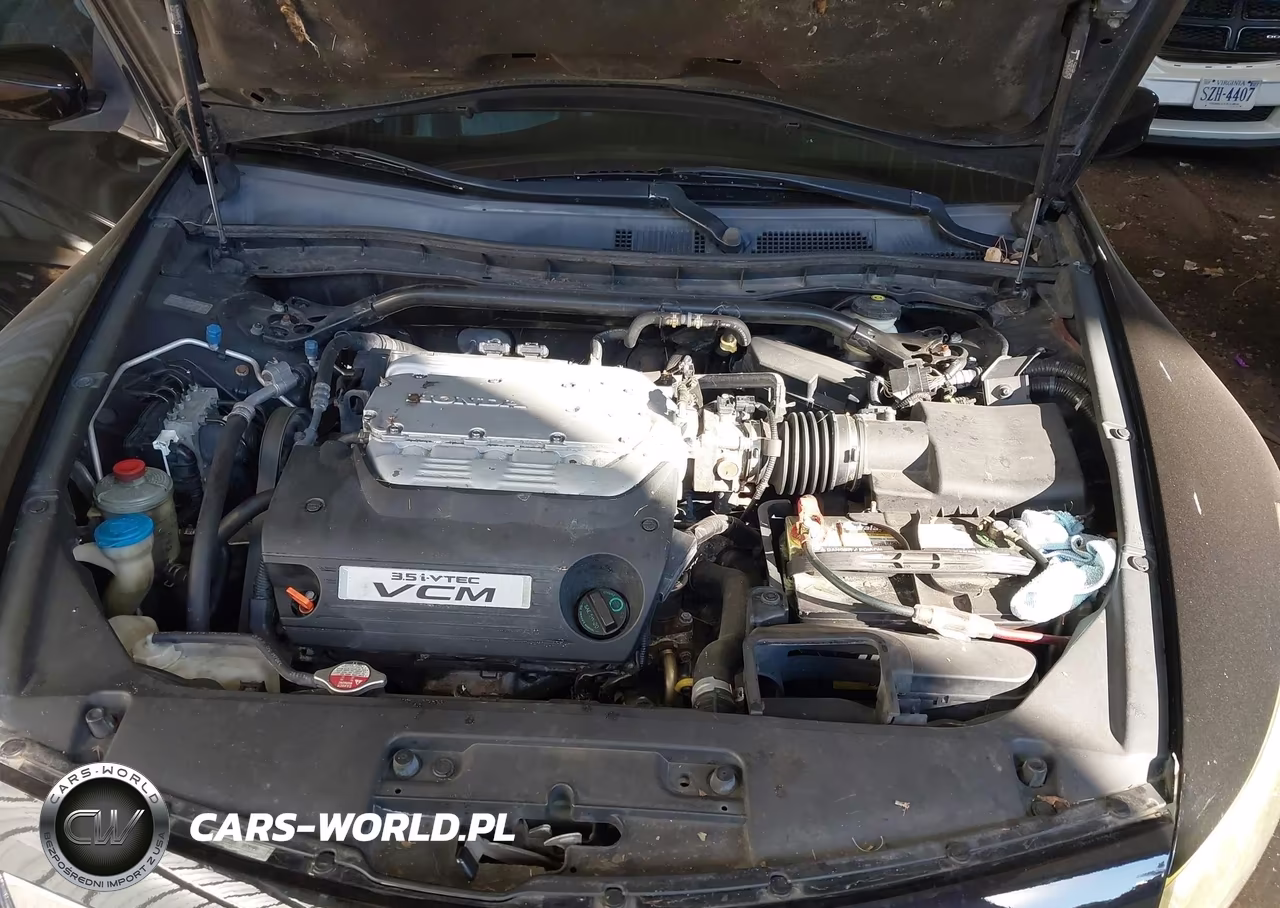 2010 Honda Accord 3.5 Ex-L VIN:1HGCS2B81AA009955 - 10