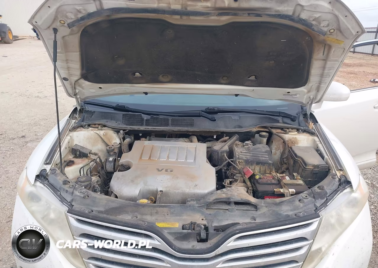 2009 Toyota Venza Base V6 VIN:4T3ZK11A79U017854 - 10