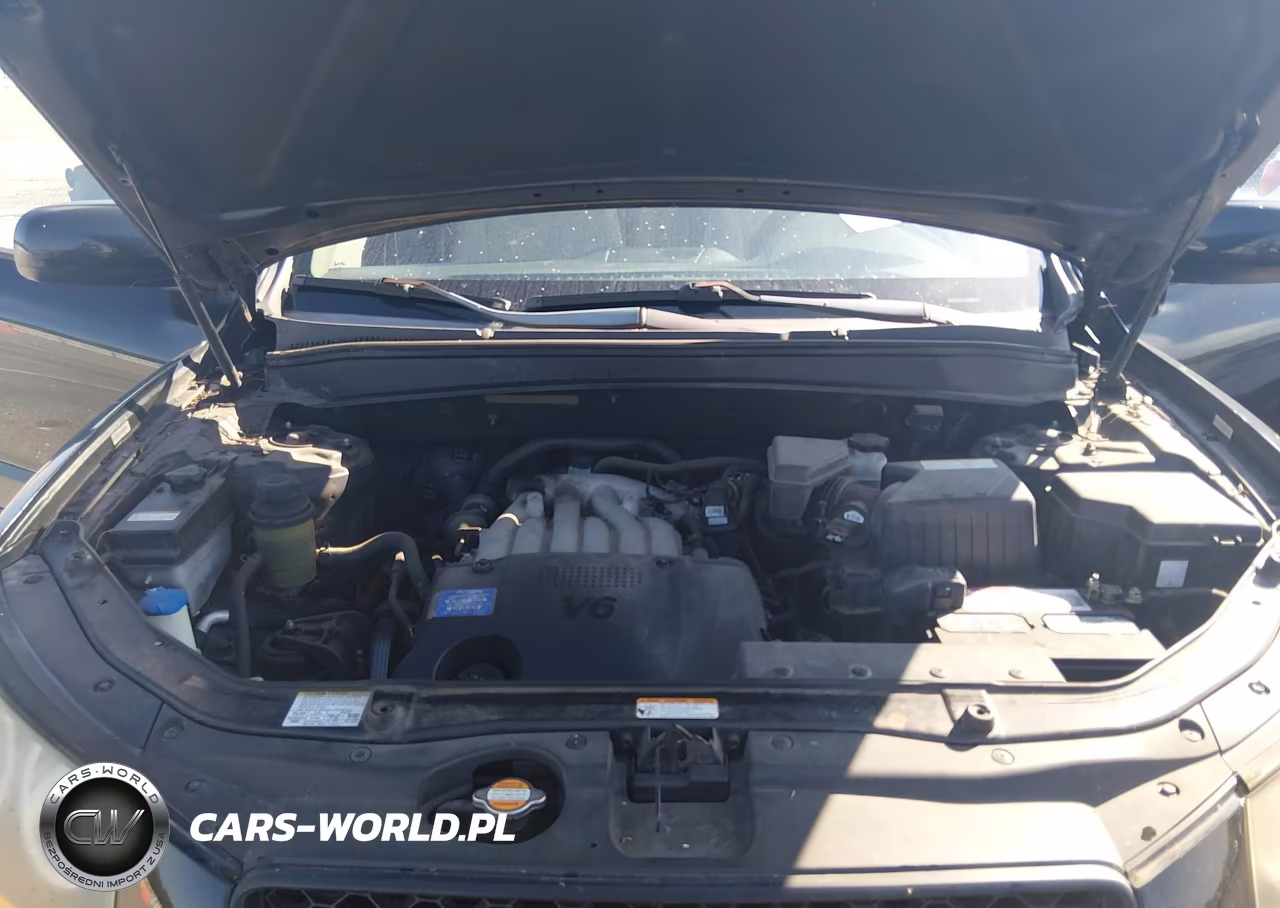 2008 Hyundai Santa Fe Gls VIN:5NMSG13D48H216762 - 10