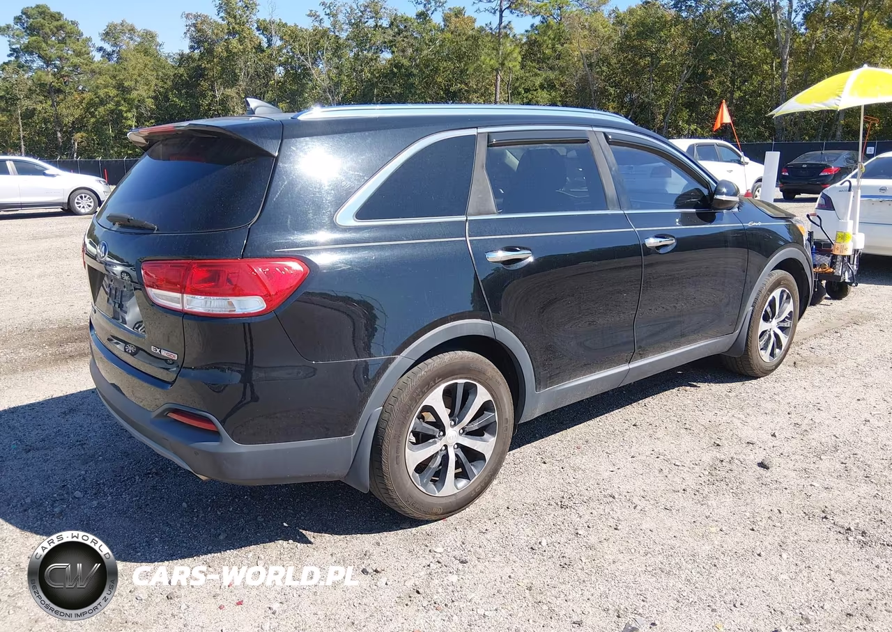 2016 Kia Sorento 2.0T Ex VIN:5XYPH4A17GG058438 - 4