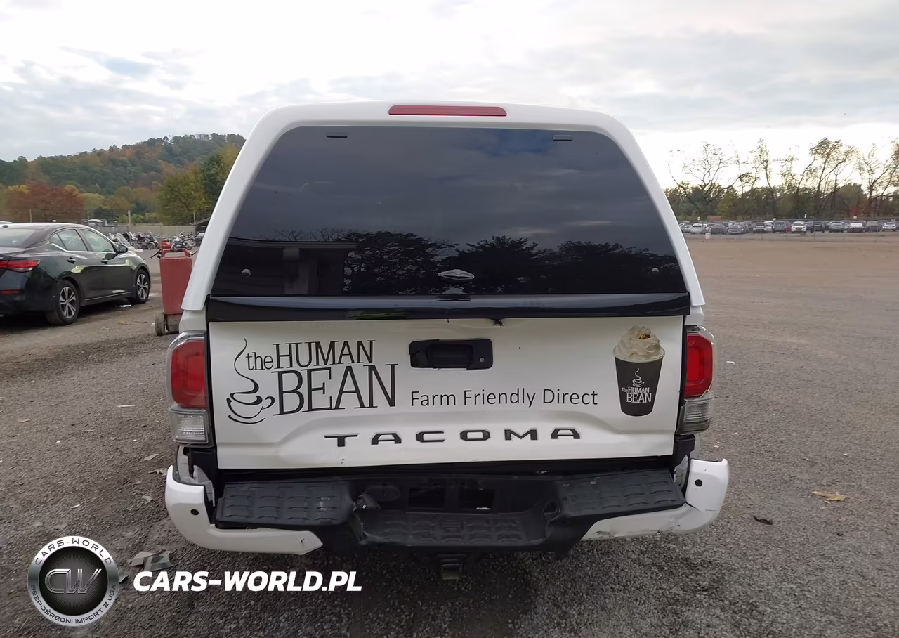 2020 Toyota Tacoma Trd Off-Road VIN:3TMCZ5AN8LM365845 - 16