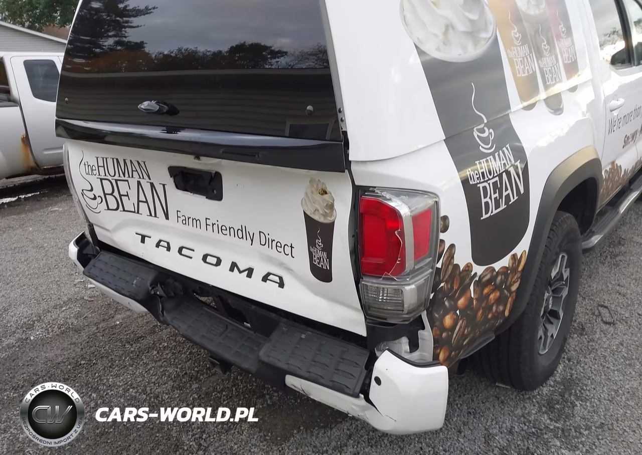 2020 Toyota Tacoma Trd Off-Road VIN:3TMCZ5AN8LM365845 - 17