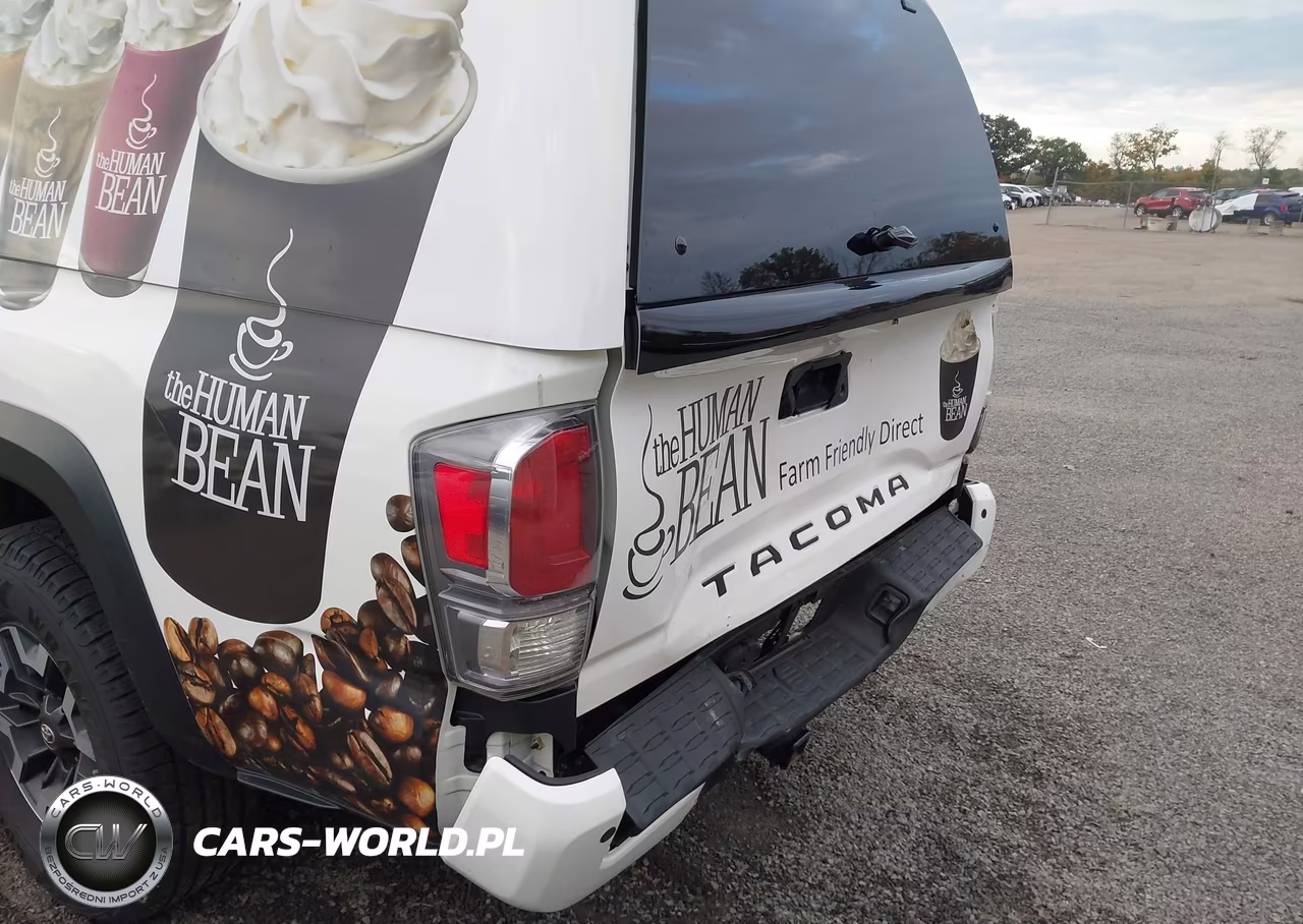 2020 Toyota Tacoma Trd Off-Road VIN:3TMCZ5AN8LM365845 - 6
