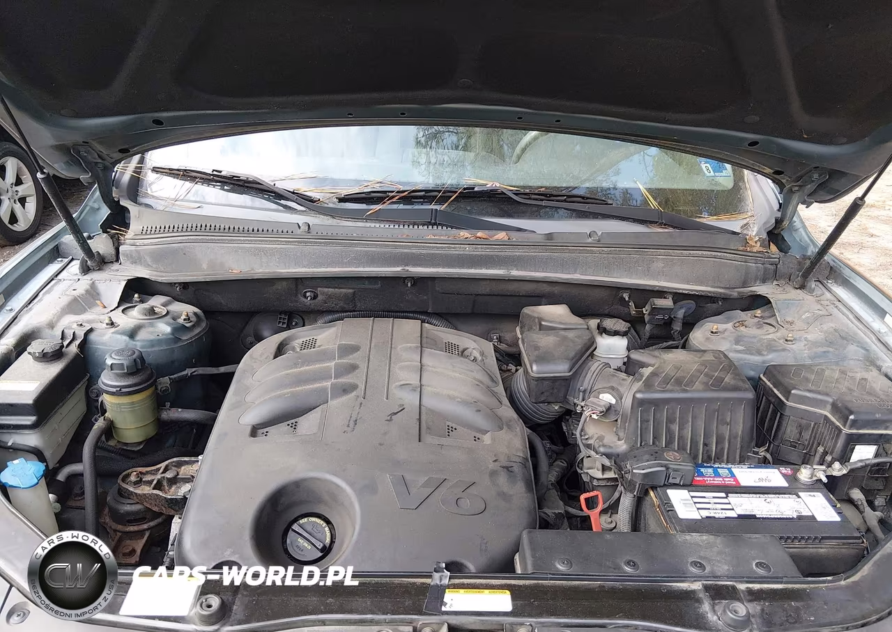 2009 Hyundai Santa Fe Limited VIN:5NMSH13E79H332772 - 10