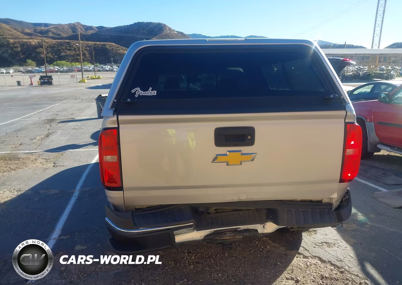 2019 Chevrolet Colorado VIN:1GCHSAEA3K1171486 - 16