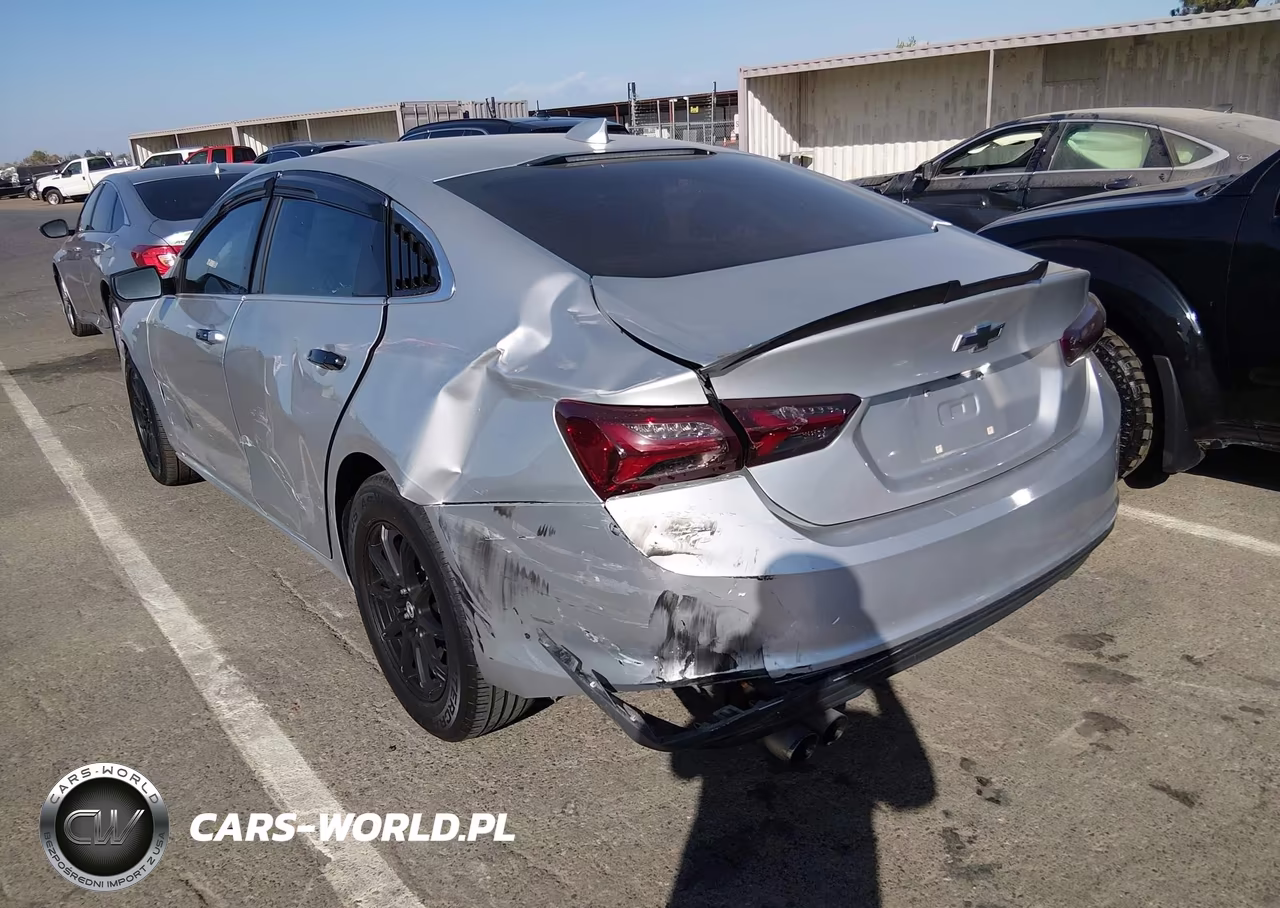 2019 Chevrolet Malibu Lt VIN:1G1ZD5ST3KF170765 - 17