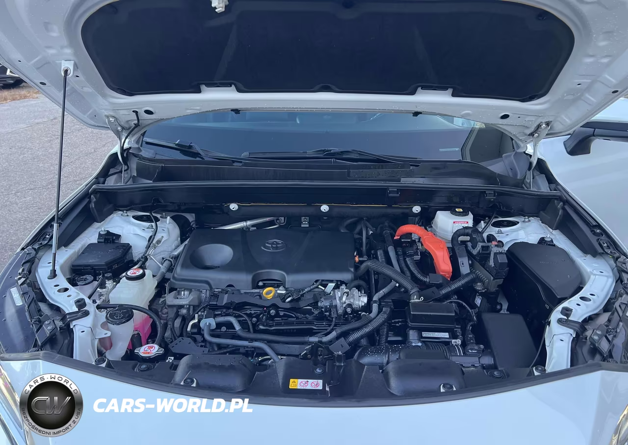2024 Toyota Venza Xle VIN:JTEAAAAH1RJ162458 - 10
