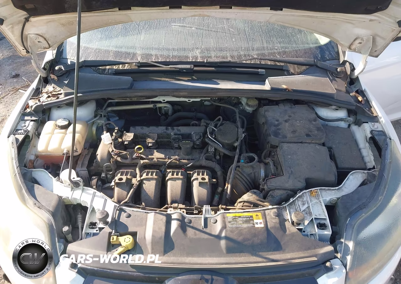 2013 Ford Focus Titanium VIN:1FADP3N22DL113399 - 10