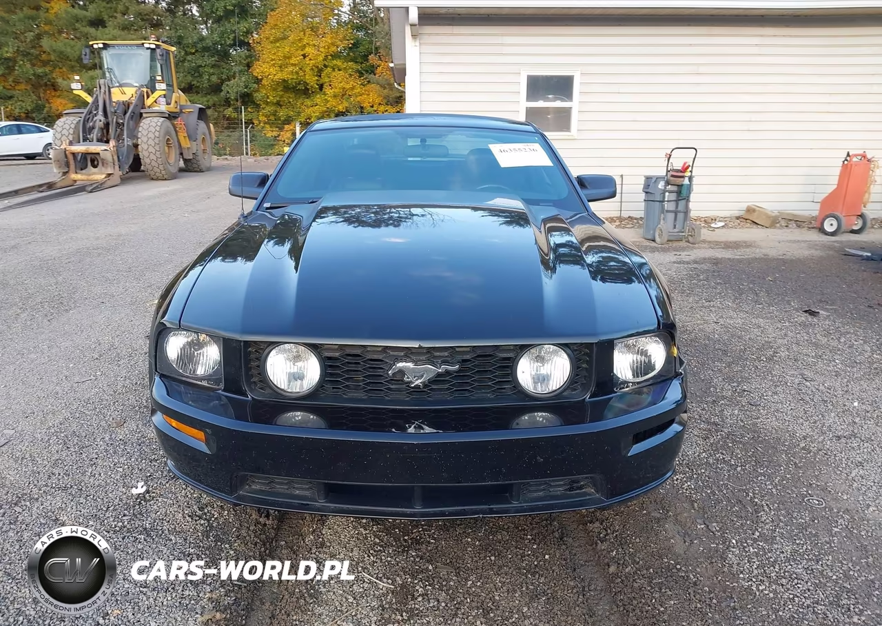 2006 Ford Mustang Gt VIN:1ZVFT82H765216231 - 13