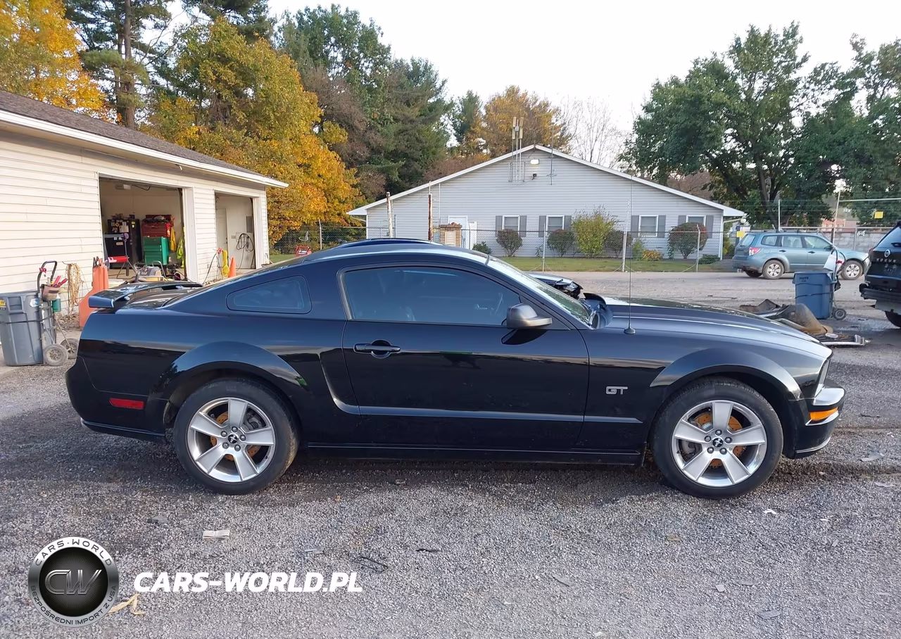2006 Ford Mustang Gt VIN:1ZVFT82H765216231 - 14