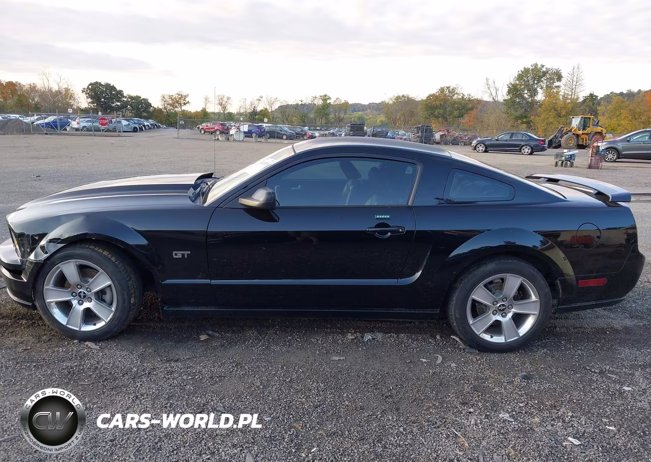 2006 Ford Mustang Gt VIN:1ZVFT82H765216231 - 15
