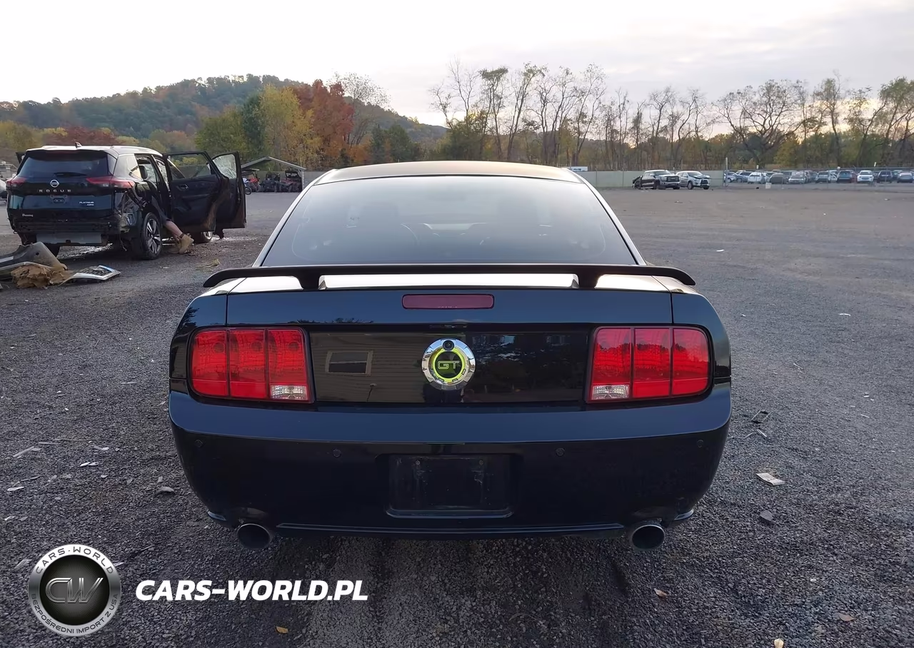 2006 Ford Mustang Gt VIN:1ZVFT82H765216231 - 17