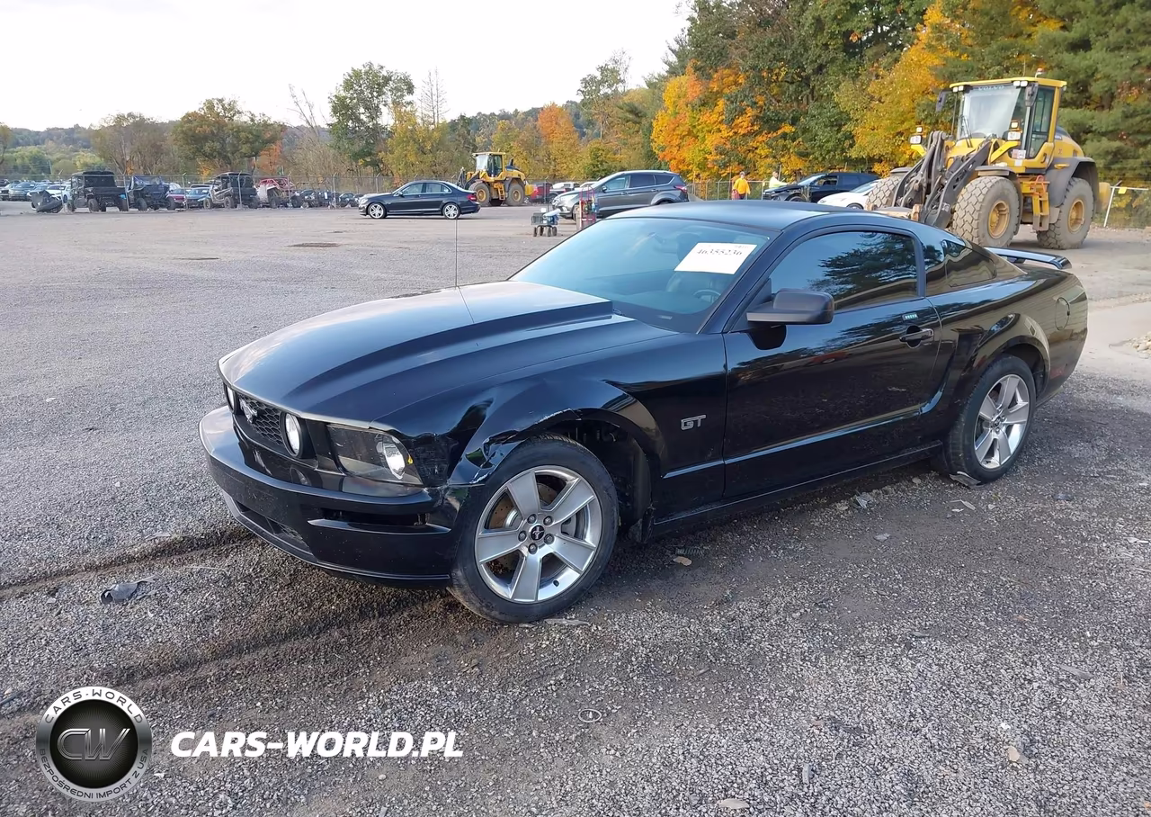 2006 Ford Mustang Gt VIN:1ZVFT82H765216231 - 2