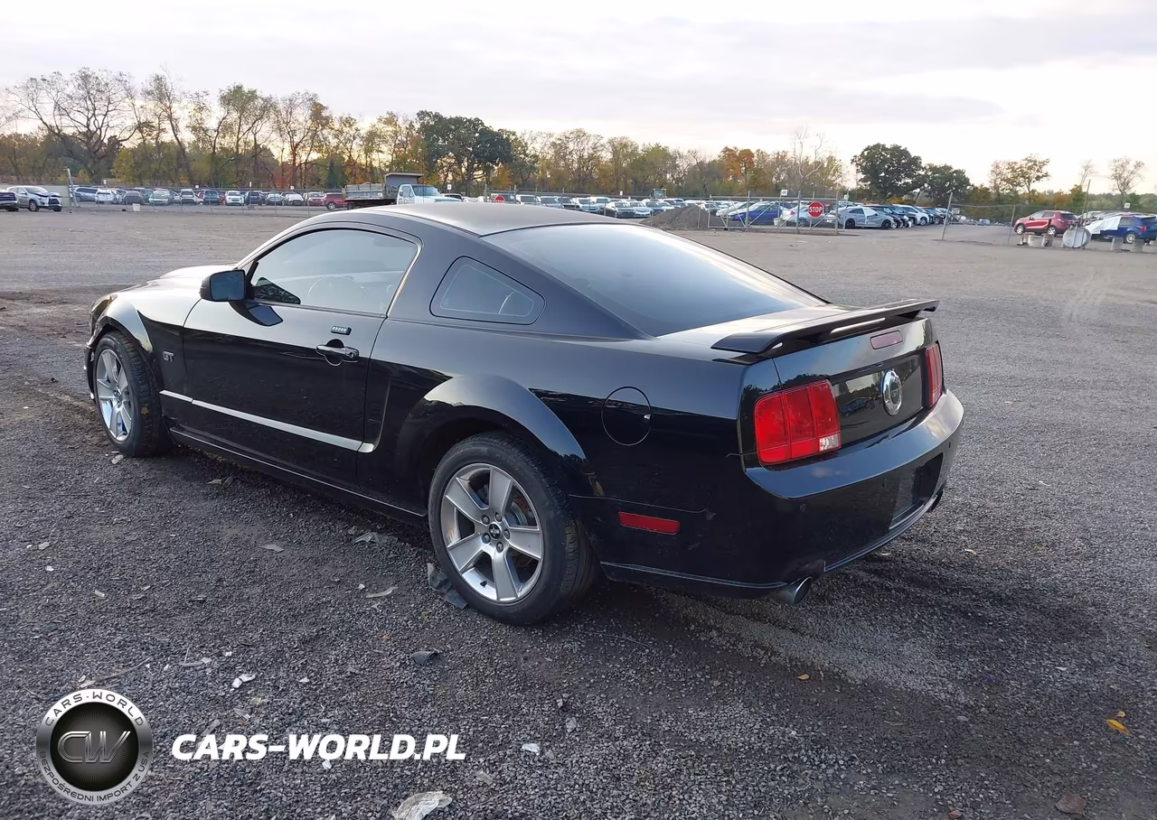 2006 Ford Mustang Gt VIN:1ZVFT82H765216231 - 3
