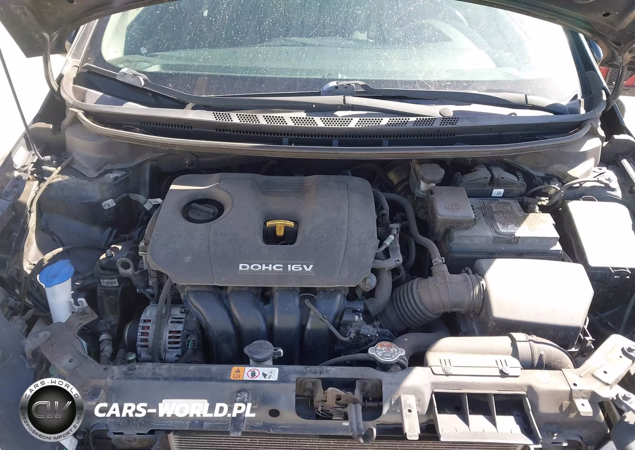 2017 Kia Forte Lx VIN:3KPFK4A75HE117132 - 10