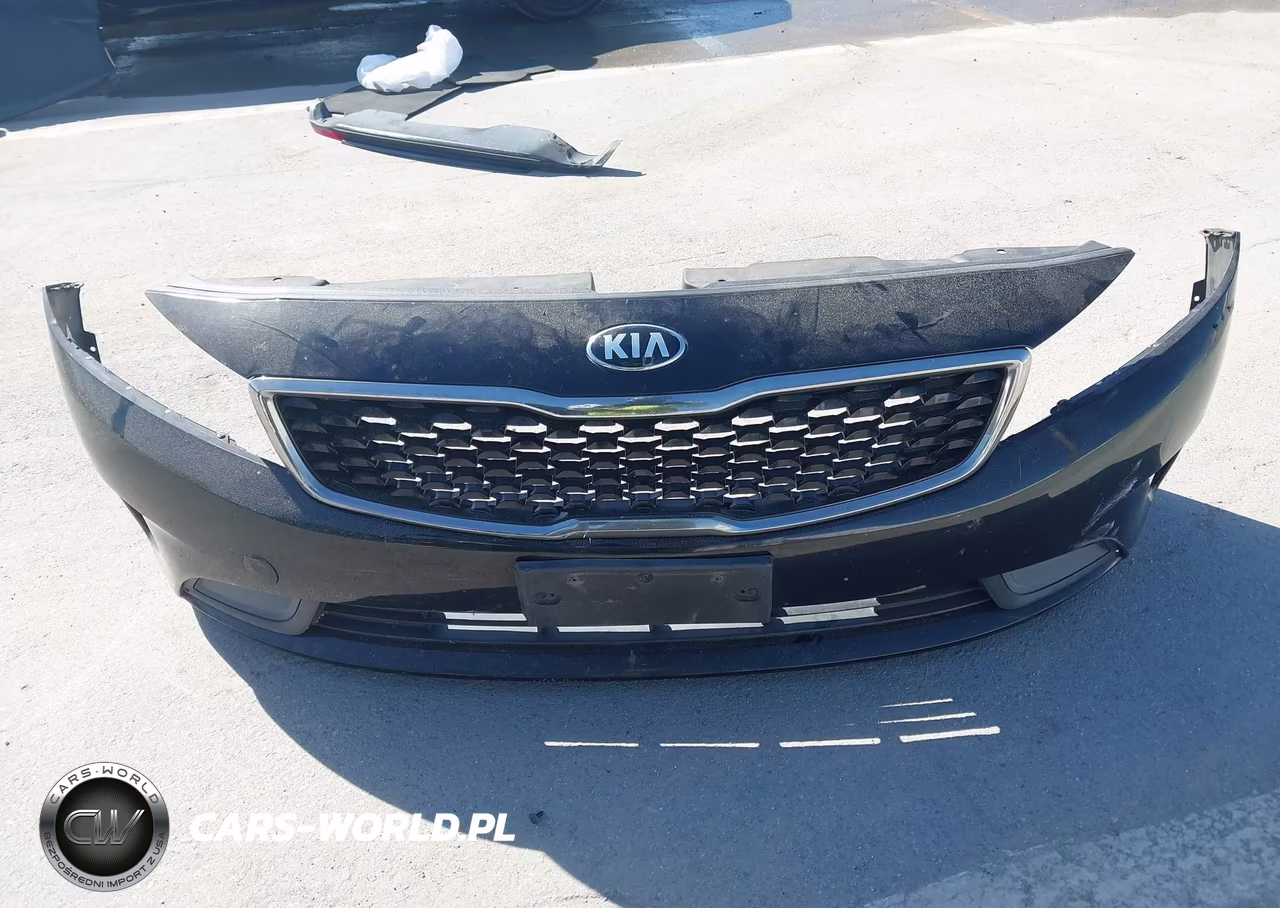 2017 Kia Forte Lx VIN:3KPFK4A75HE117132 - 12
