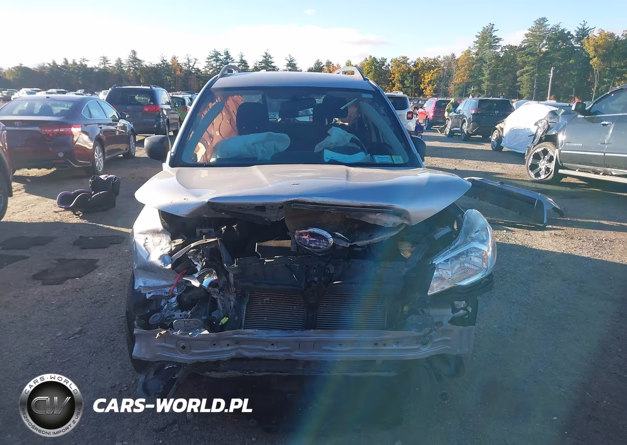 2016 Subaru Forester 2.5I VIN:JF2SJABC6GH483526 - 13