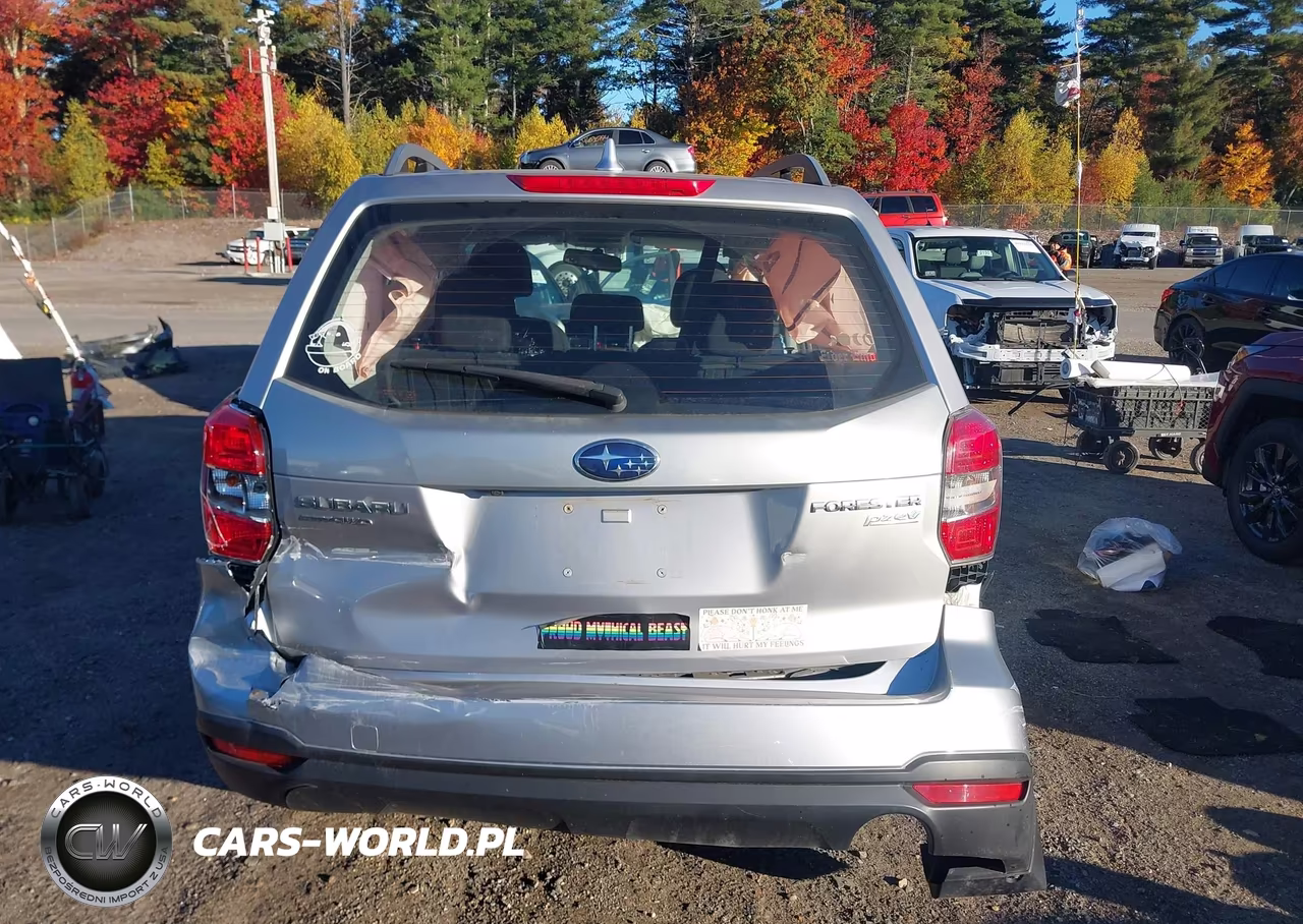 2016 Subaru Forester 2.5I VIN:JF2SJABC6GH483526 - 17