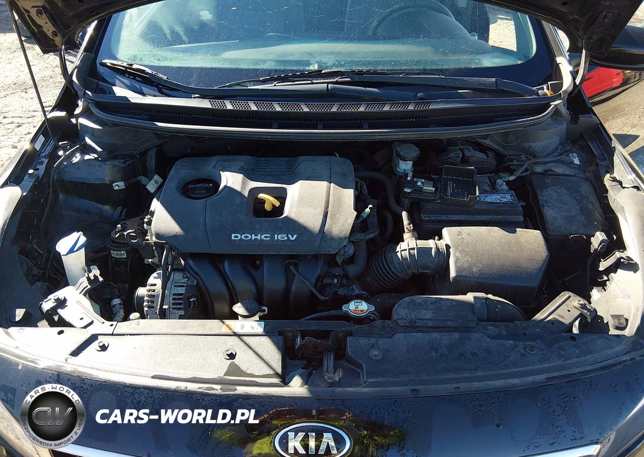 2017 Kia Forte Lx VIN:3KPFK4A71HE098160 - 10