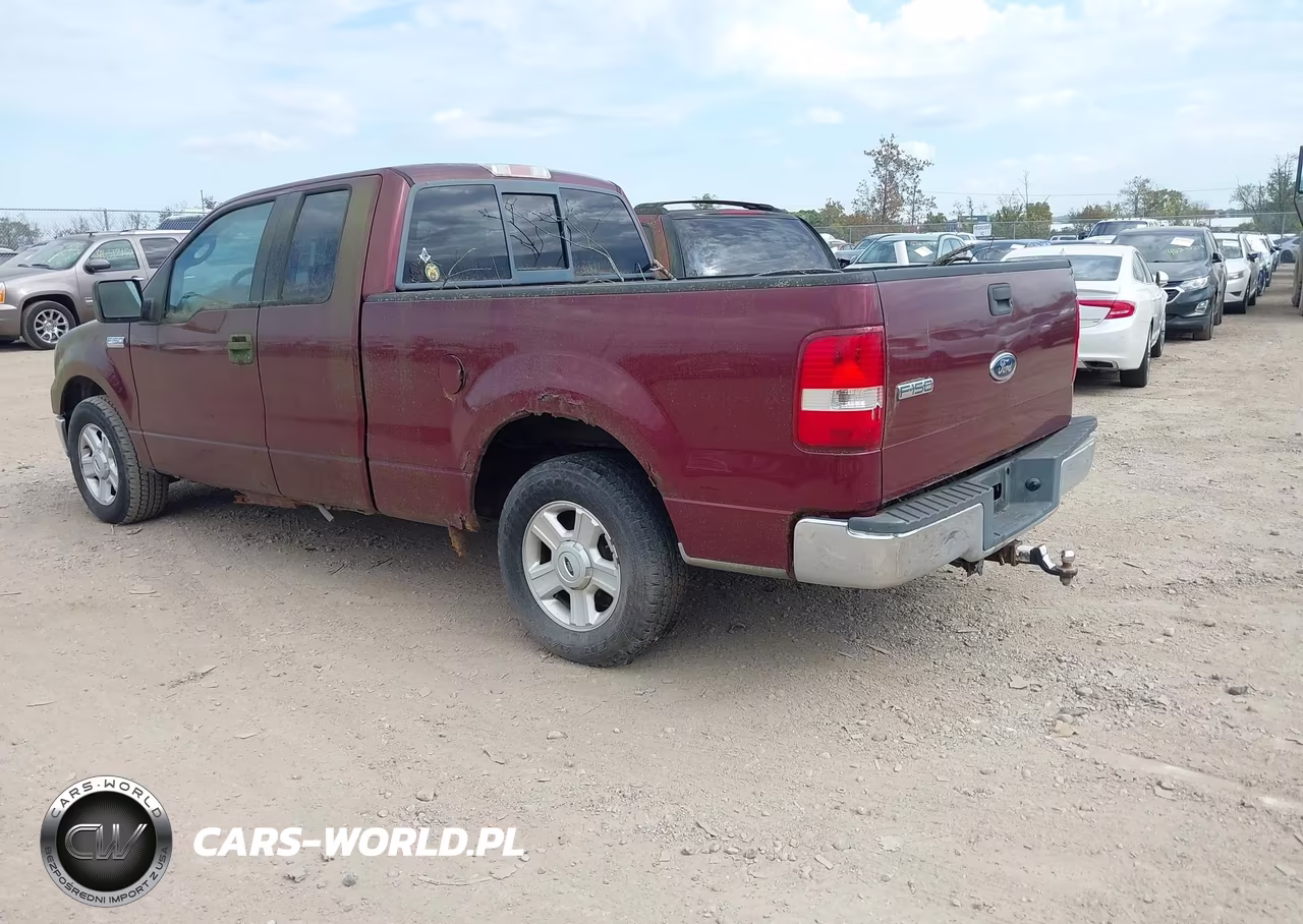 2004 Ford F-150 Stx-Xl-Xlt VIN:1FTRX12W64NB38371 - 3
