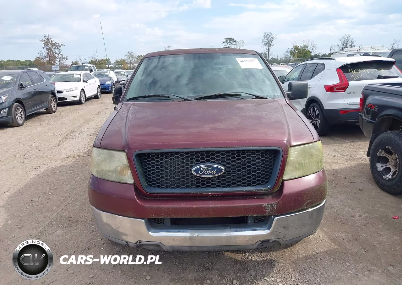 2004 Ford F-150 Stx-Xl-Xlt VIN:1FTRX12W64NB38371 - 6