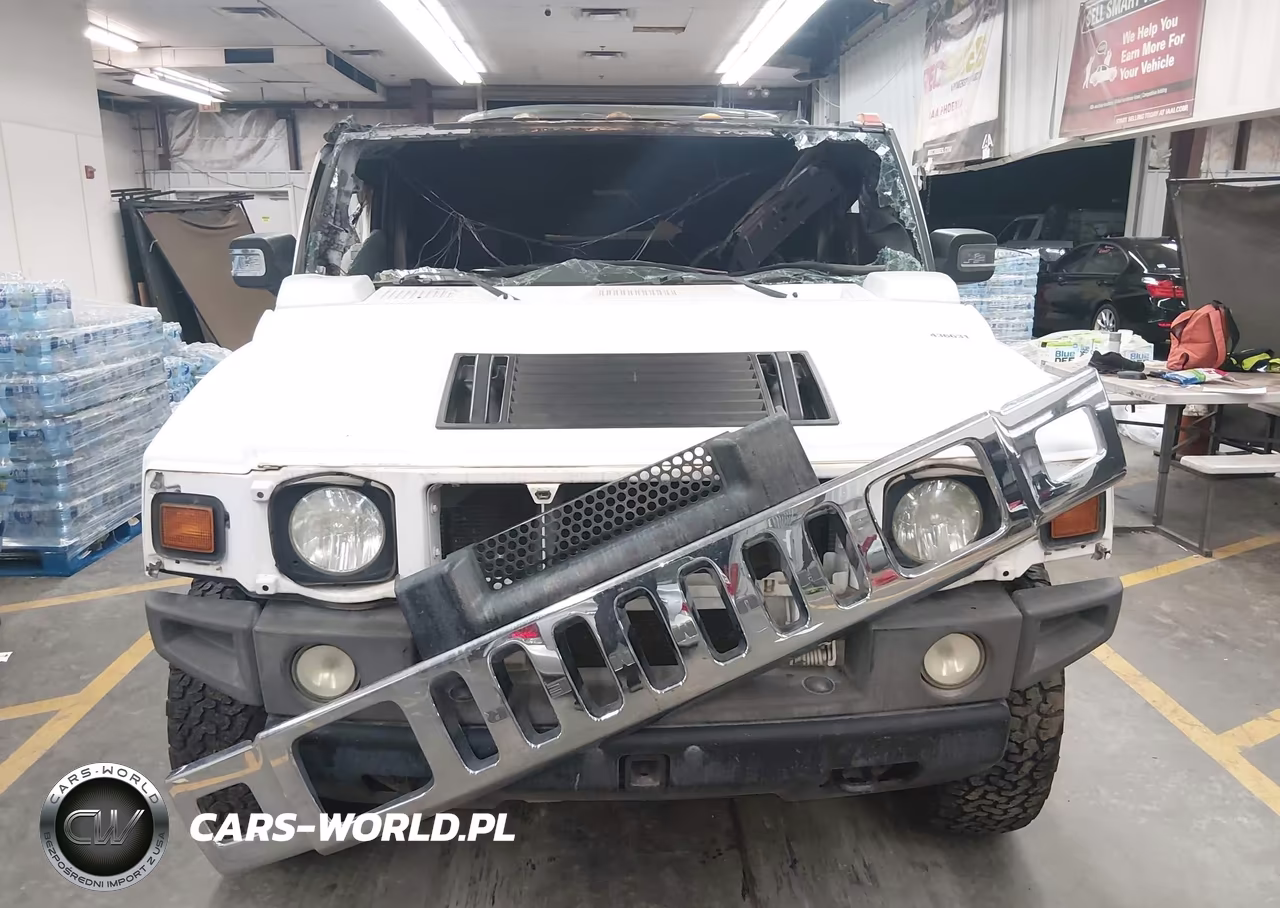 2006 Hummer H2 Sut VIN:5GRGN22U86H102618 - 11