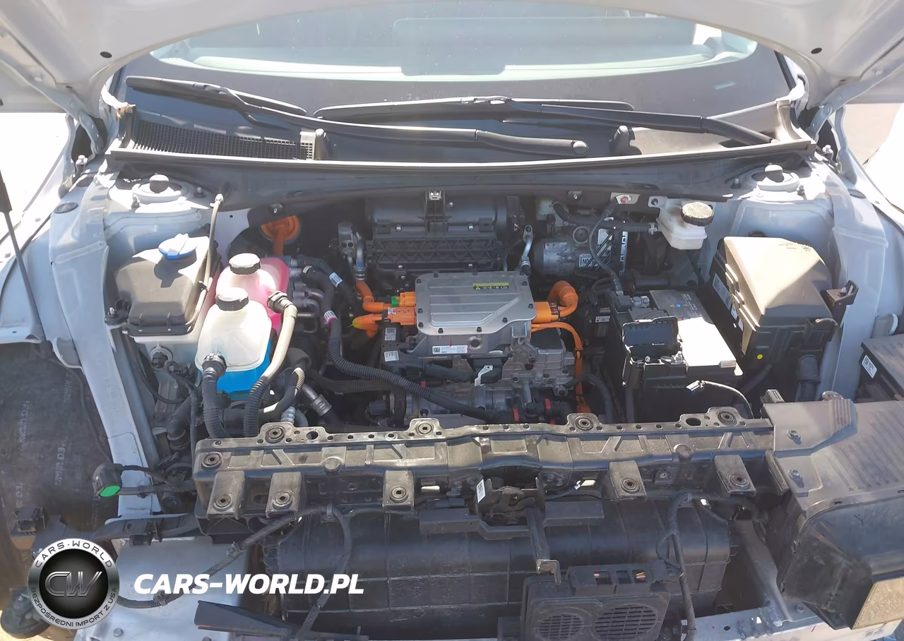 2024 Hyundai Ioniq 5 Sel VIN:KM8KNDDF4RU239553 - 10