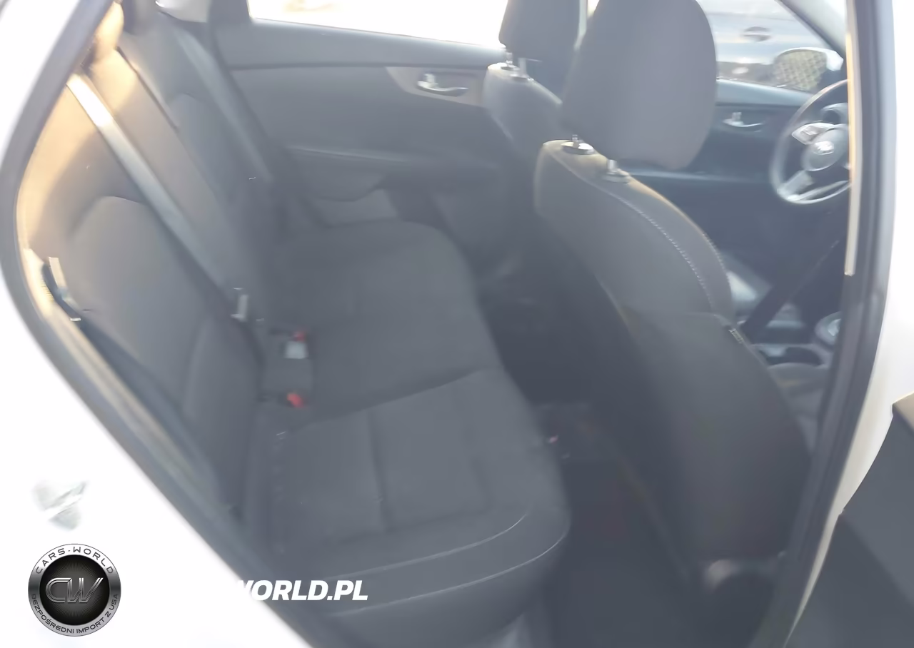 2019 Kia Forte Lxs VIN:3KPF24AD7KE127027 - 8