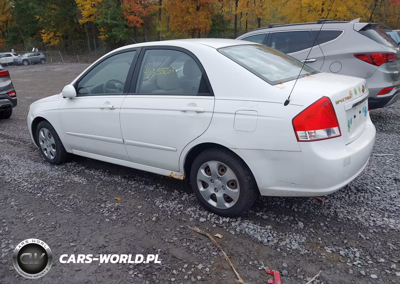 2009 Kia Spectra Ex VIN:KNAFE222595660151 - 3