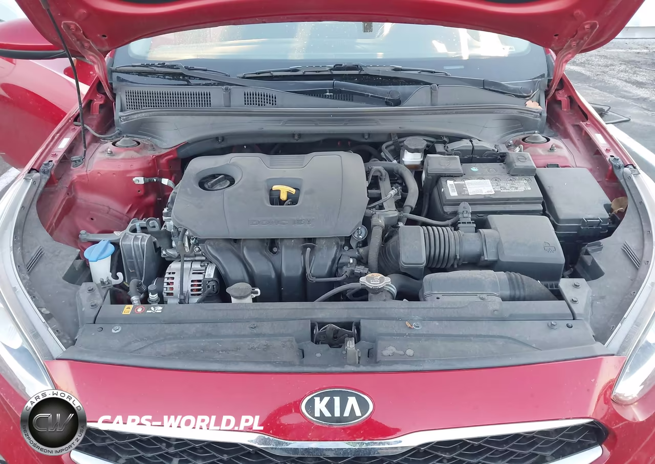 2019 Kia Forte S VIN:3KPF34AD2KE097769 - 10