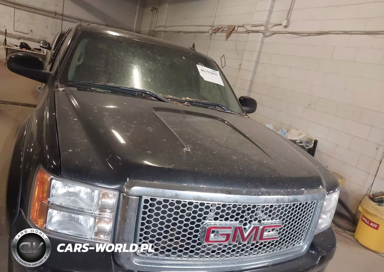 2009 GMC Sierra 1500 Denali VIN:3GTEK03269G149776 - 12