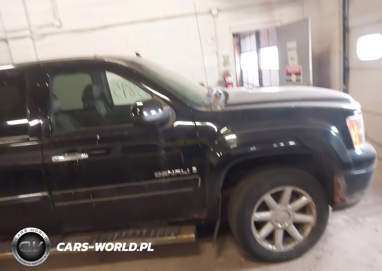 2009 GMC Sierra 1500 Denali VIN:3GTEK03269G149776 - 13