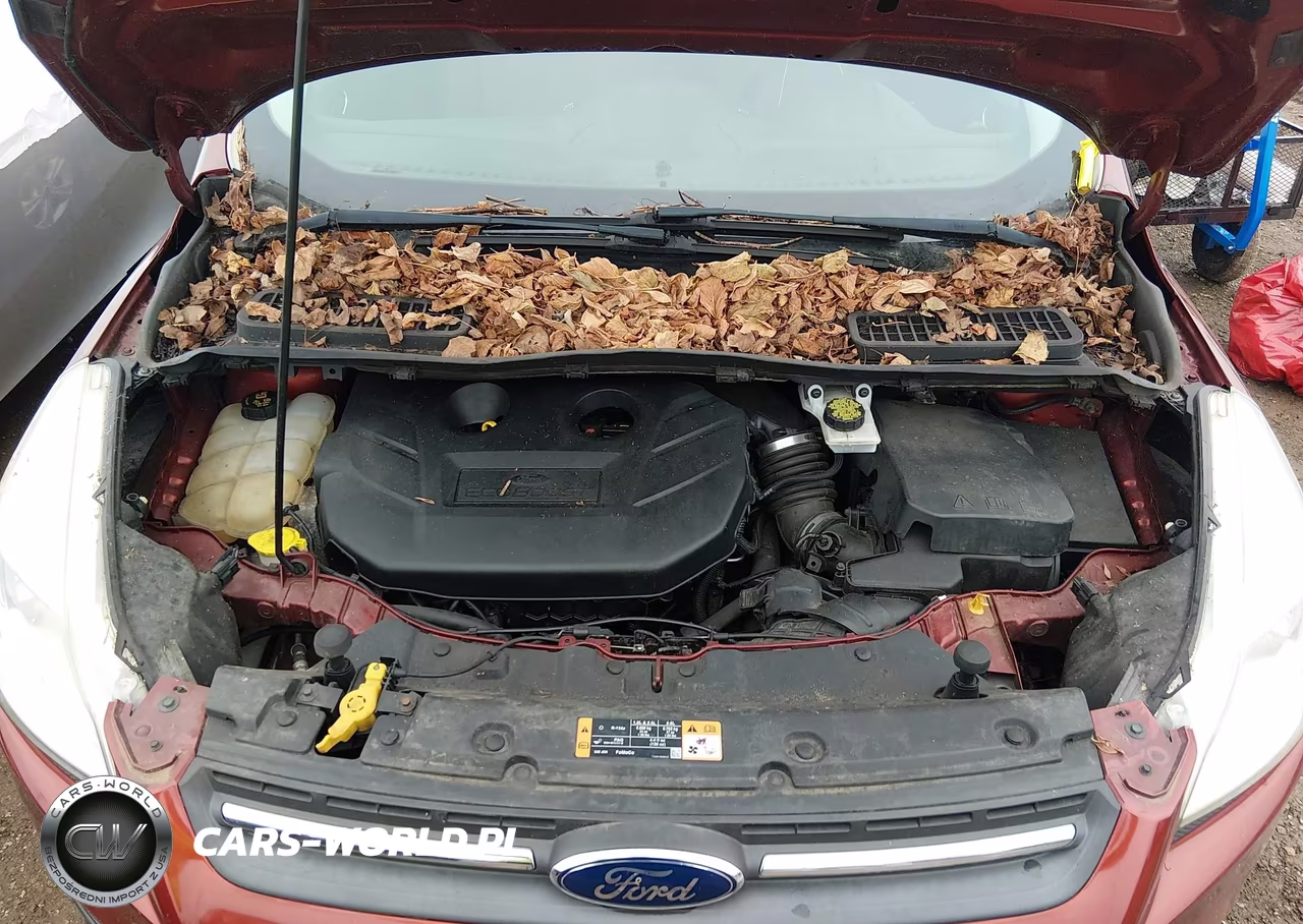 2016 Ford Escape Se VIN:1FMCU0G96GUC24250 - 10