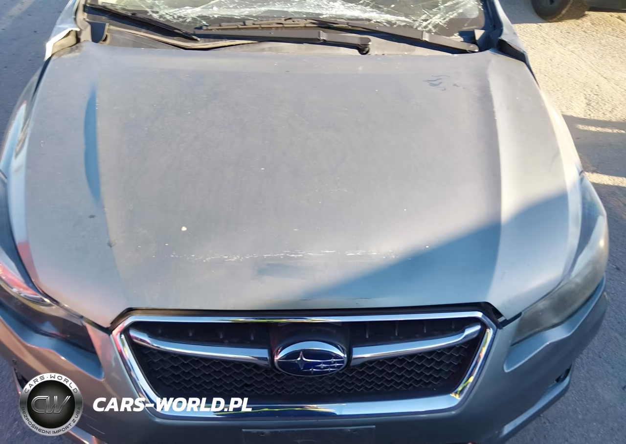 2016 Subaru Impreza 2.0I VIN:JF1GPAA68GH329923 - 19