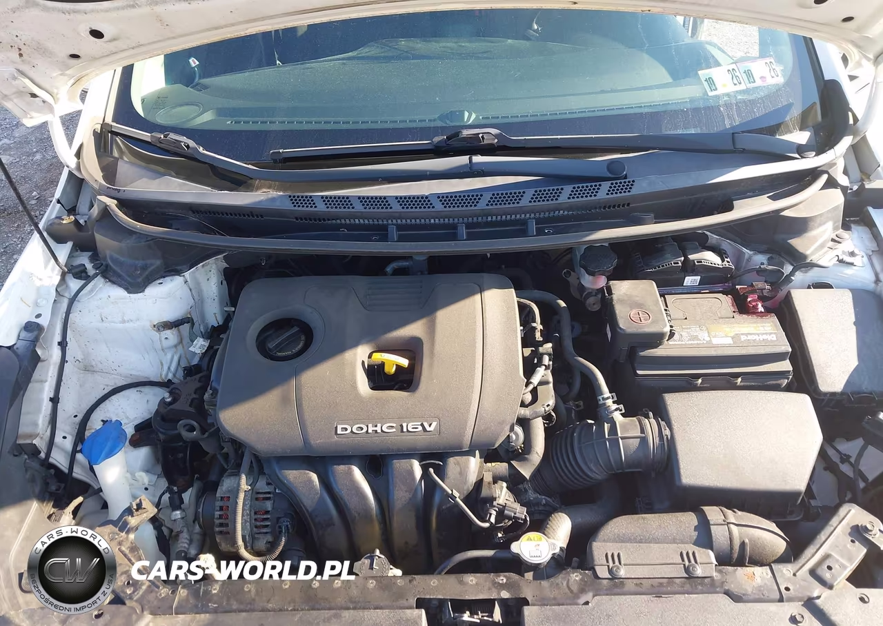 2017 Kia Forte Lx VIN:3KPFK4A73HE066939 - 10