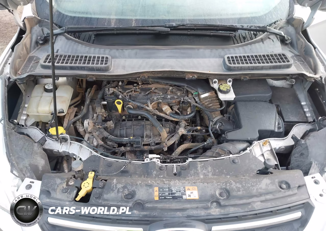 2015 Ford Escape Se VIN:1FMCU0GX2FUB37569 - 10