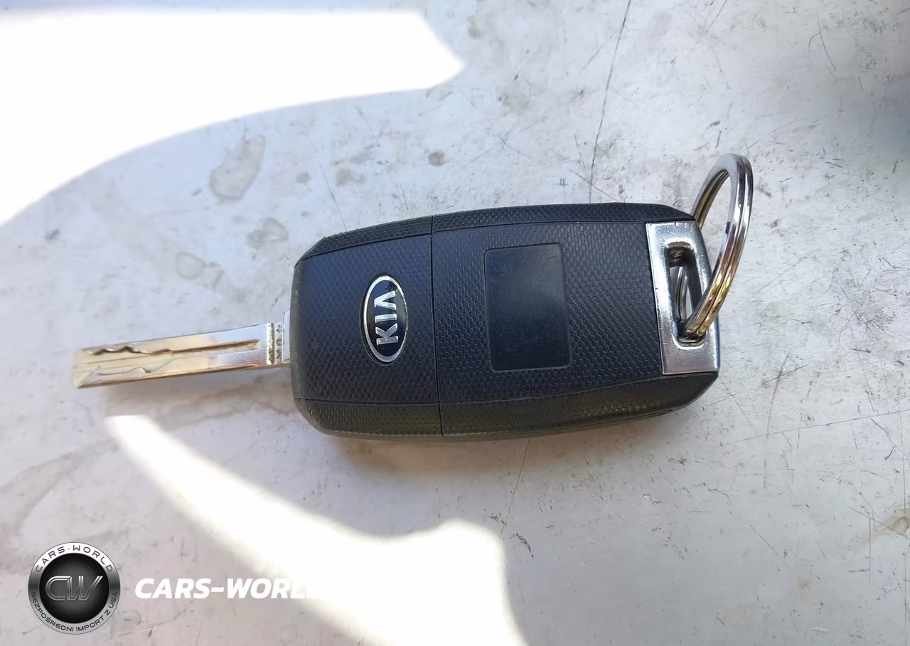 2015 Kia Optima Lx VIN:5XXGM4A75FG487922 - 11