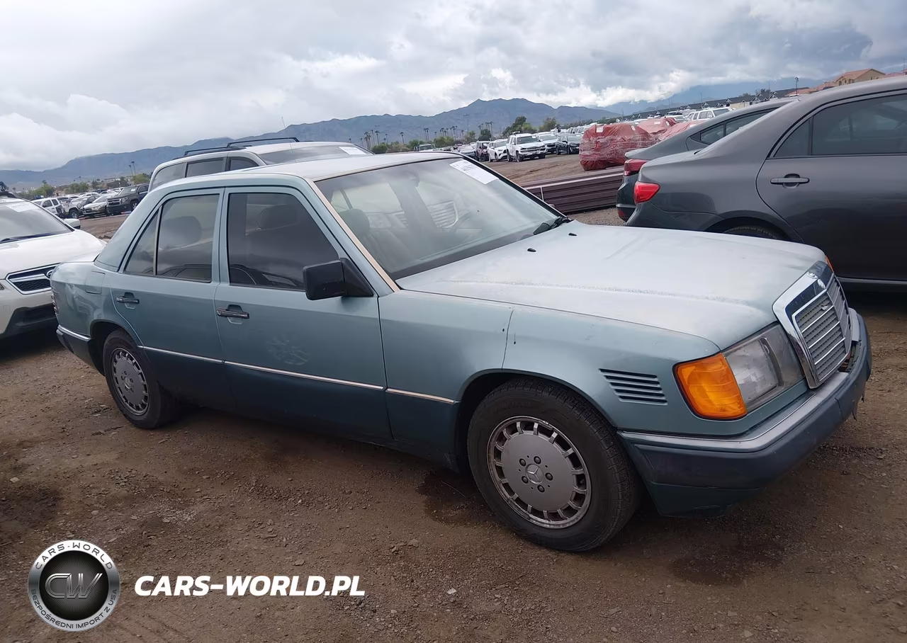 1992 Mercedes-Benz 300 D VIN:WDBEB28E5NB615469 - 12