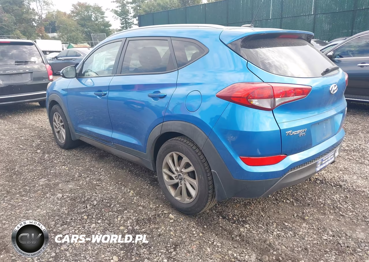 2016 Hyundai Tucson Eco VIN:KM8J3CA20GU046083 - 3