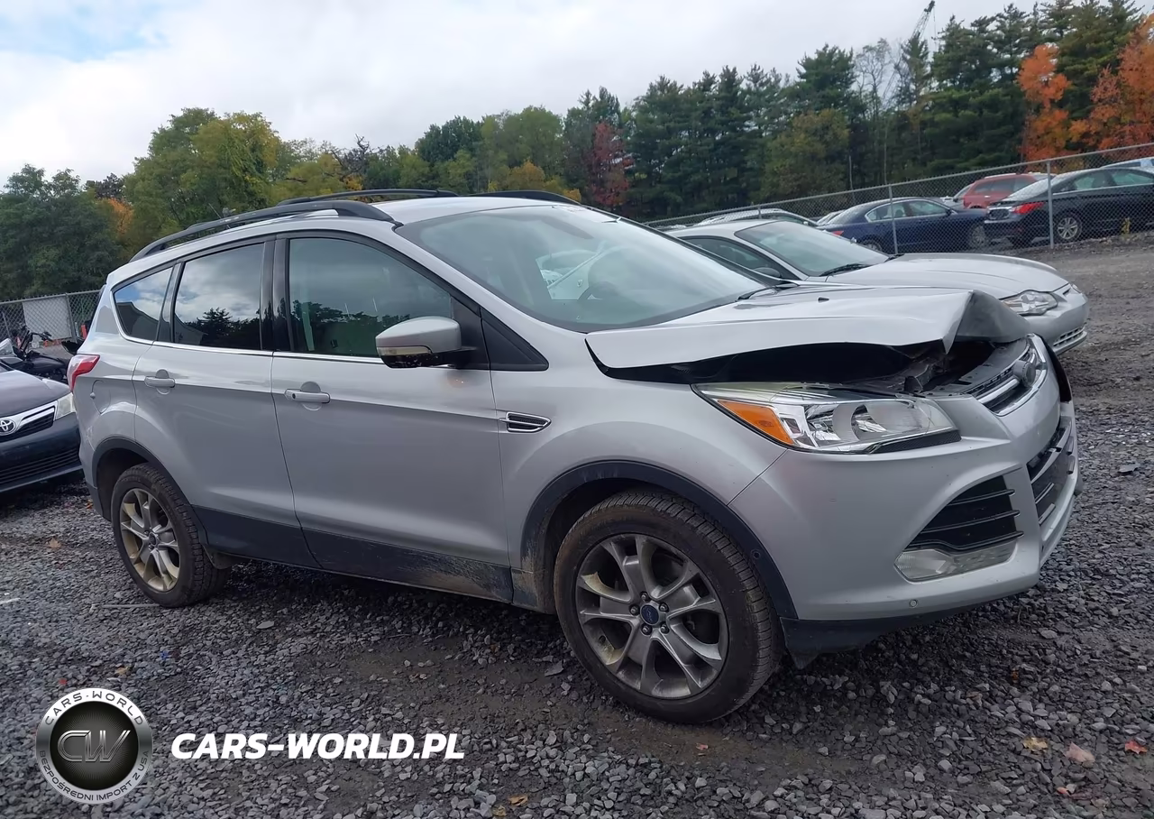 2013 Ford Escape Sel VIN:1FMCU9H91DUD82719 - 13