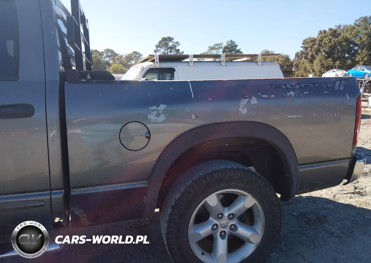 2006 Dodge Ram 1500 Slt-Trx4 Off Road-Sport VIN:1D7HU18256S670536 - 6