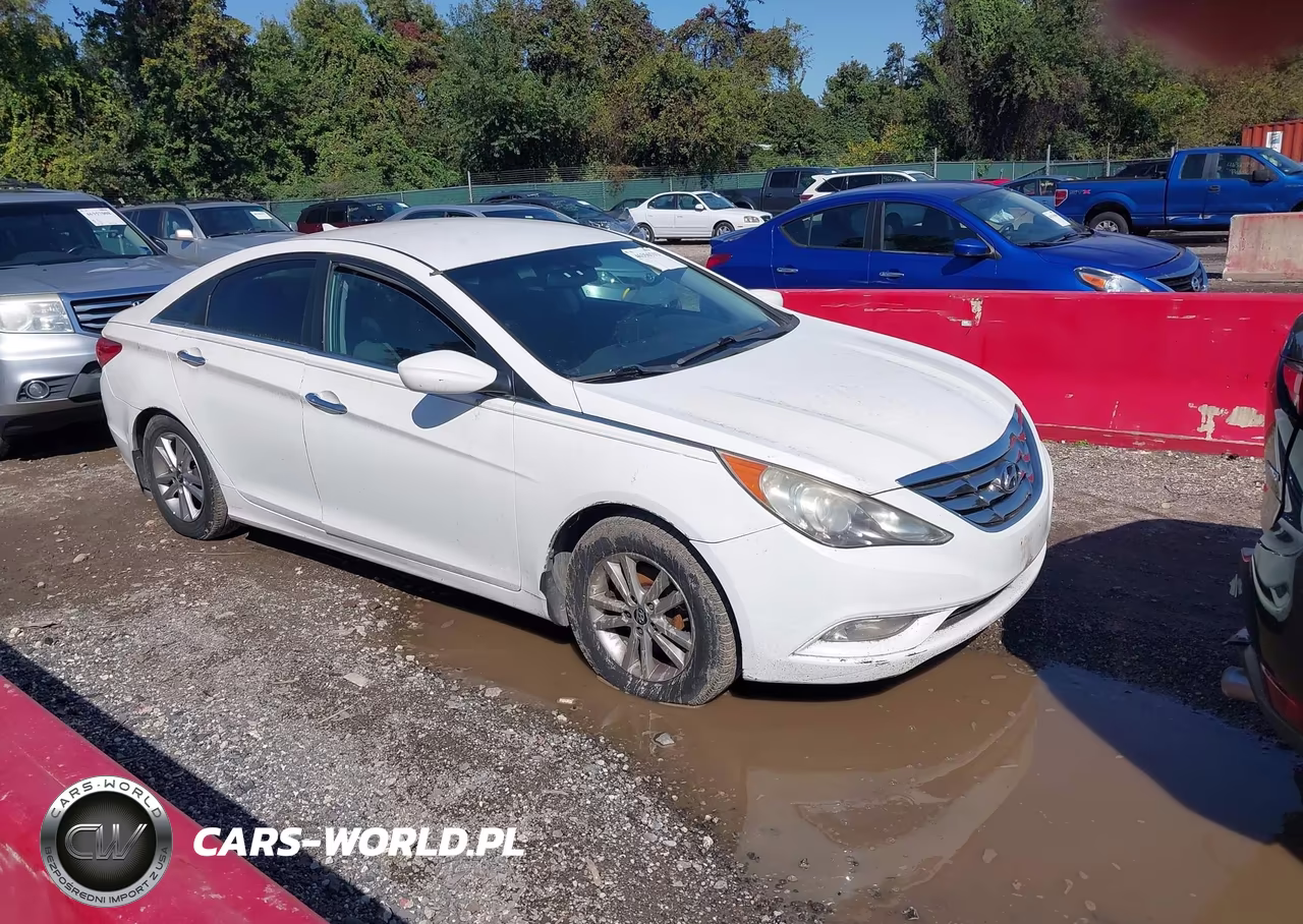 2013 Hyundai Sonata Se
