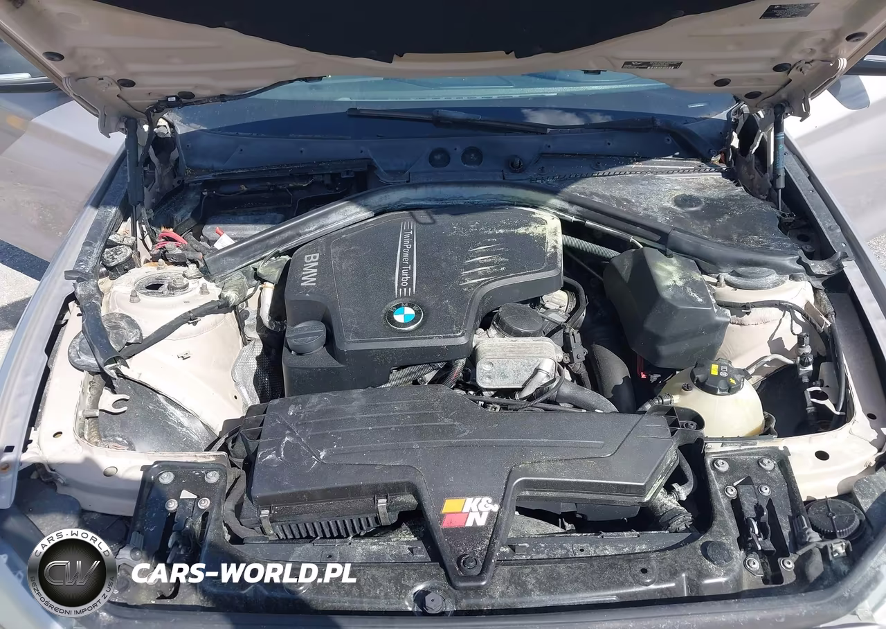 2014 BMW 228I VIN:WBA1F5C52EV255246 - 10