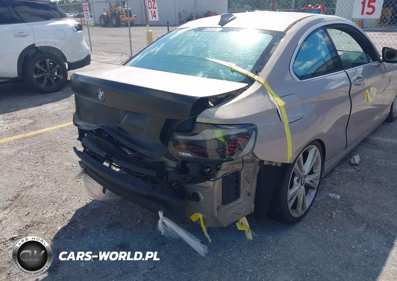 2014 BMW 228I VIN:WBA1F5C52EV255246 - 12