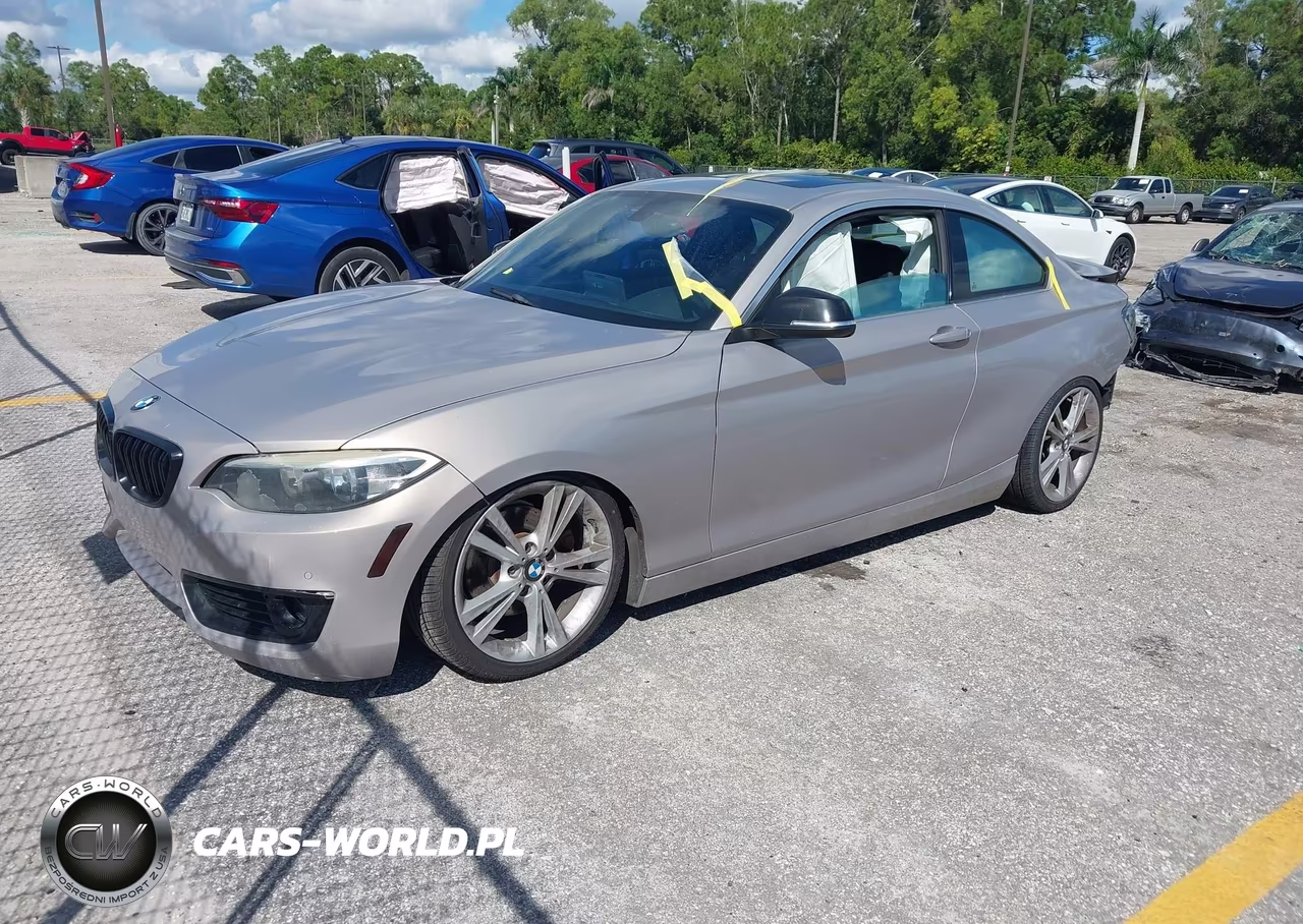 2014 BMW 228I VIN:WBA1F5C52EV255246 - 2