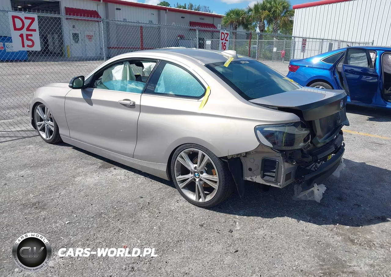 2014 BMW 228I VIN:WBA1F5C52EV255246 - 3