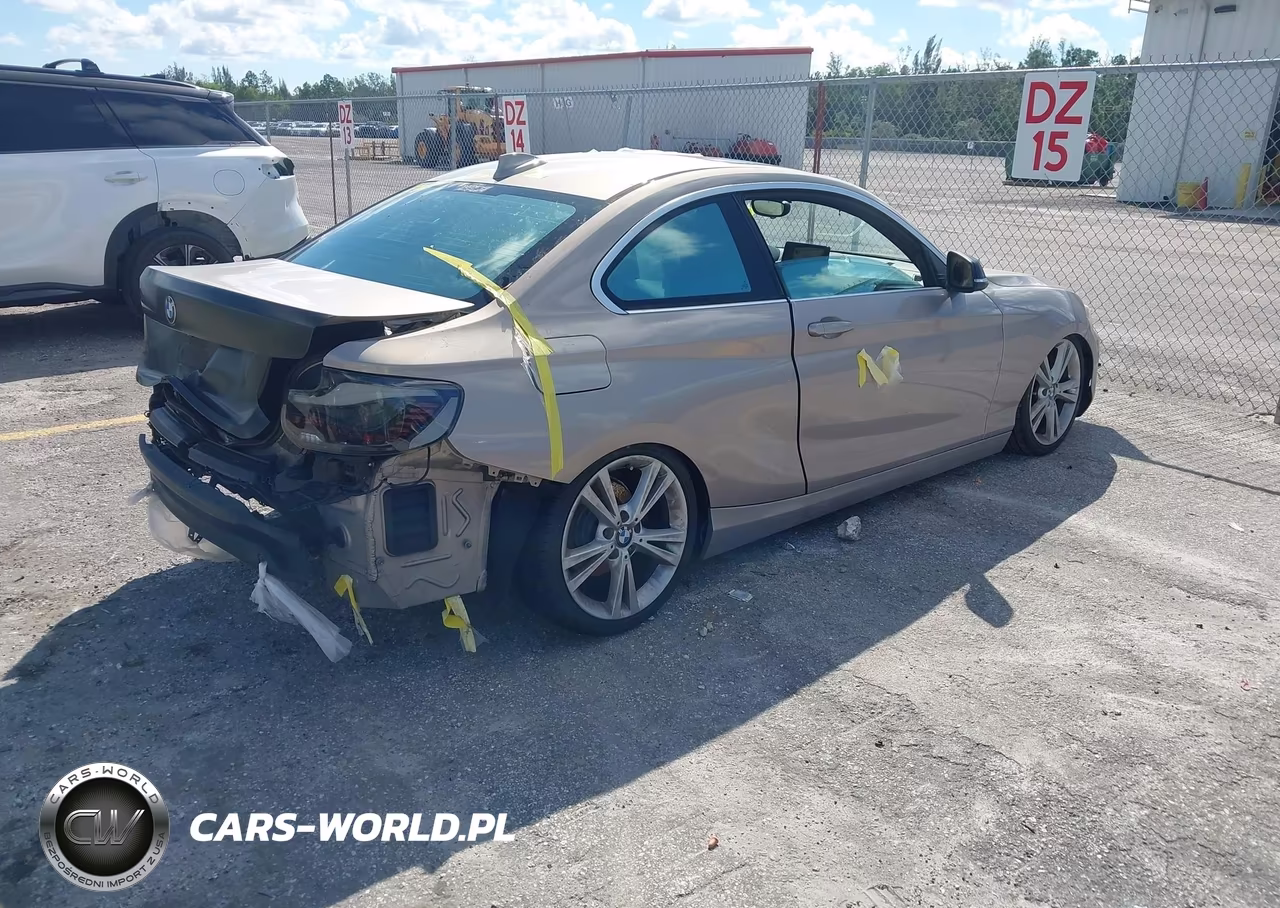 2014 BMW 228I VIN:WBA1F5C52EV255246 - 4