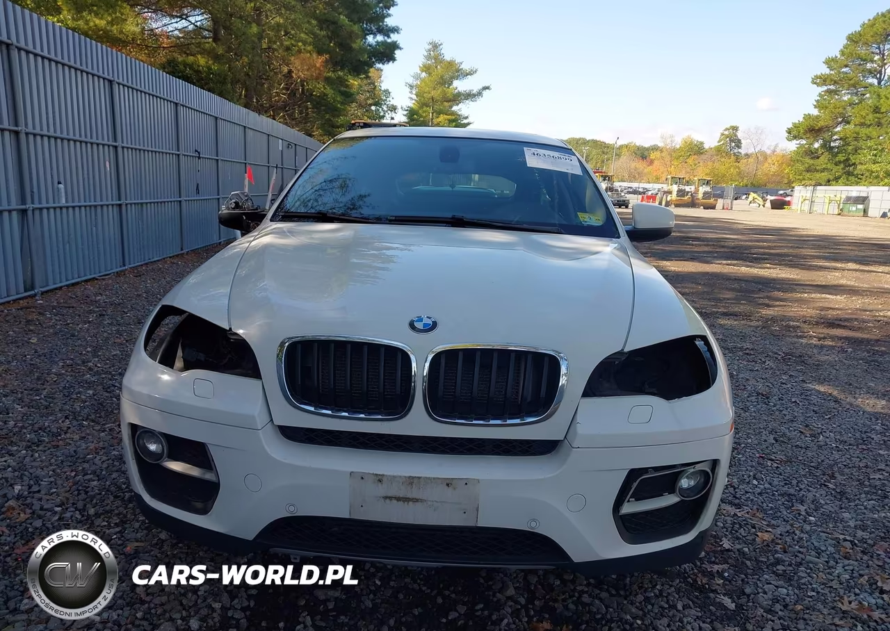2013 BMW X6 xDrive35I VIN:5UXFG2C57DL787928 - 12